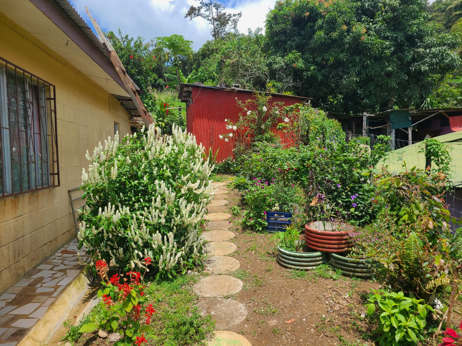 Lovely, 2 Bedroom, 1 Bathroom + Den, Tico Style Home in Rio Piedras  photo 11