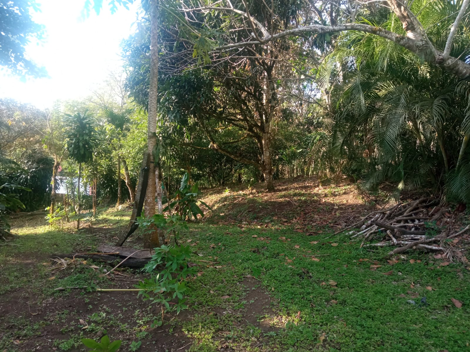 Beautiful, 1407 m2 (0,34 acres) Lot in Parcelas de Quebrada Azul, Tilarán photo 13
