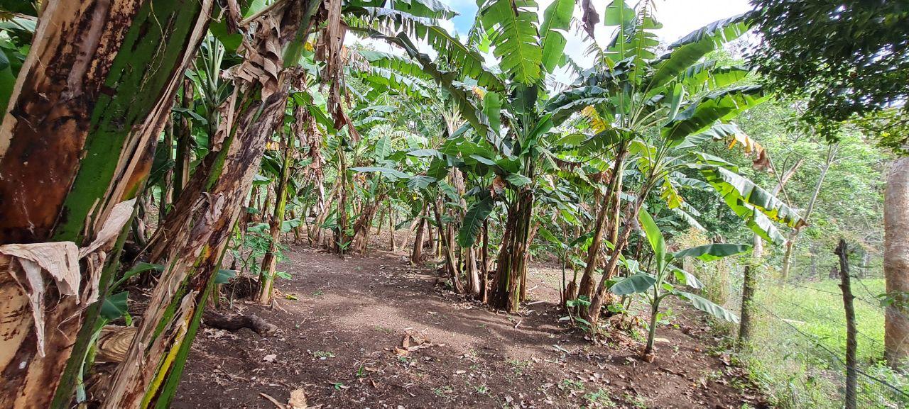 Lakeview Home 4BD 2BAw/ Lake Access, Development Potential & BMW  photo 11