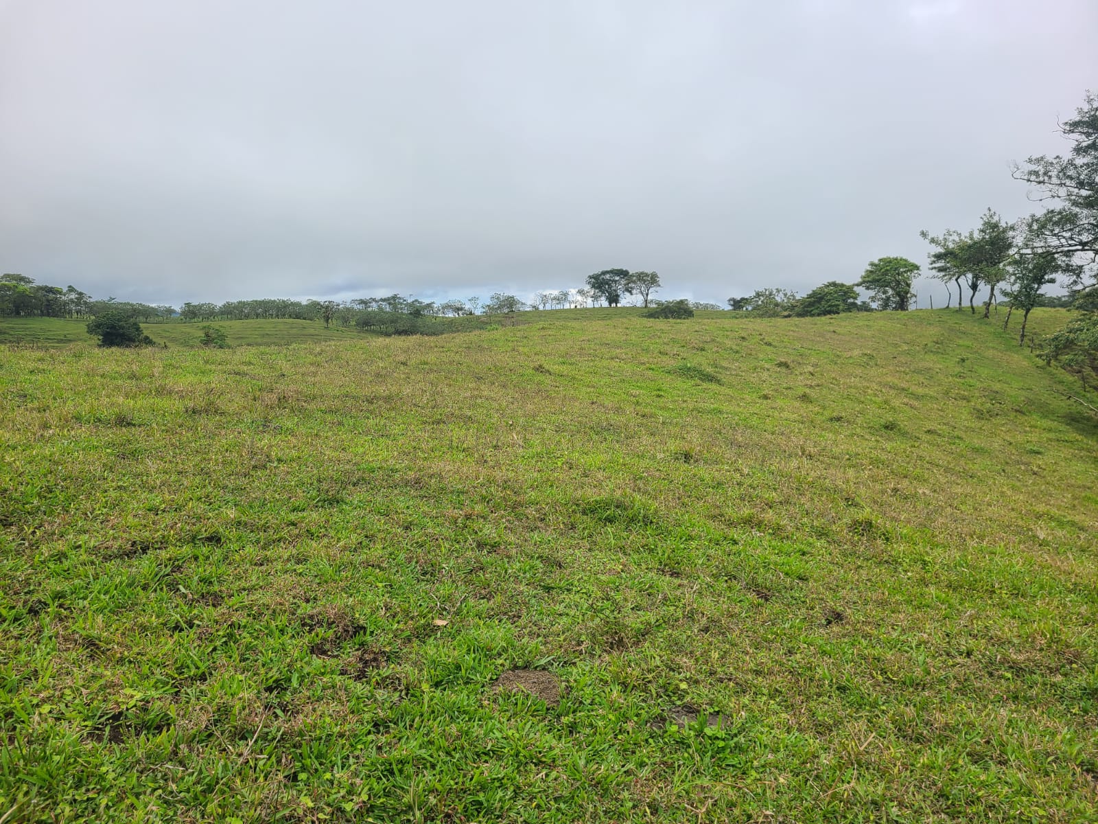 Spectacular 105-Hectare Lot with Lakes, Mountain Views, & Natural Resources  photo 15