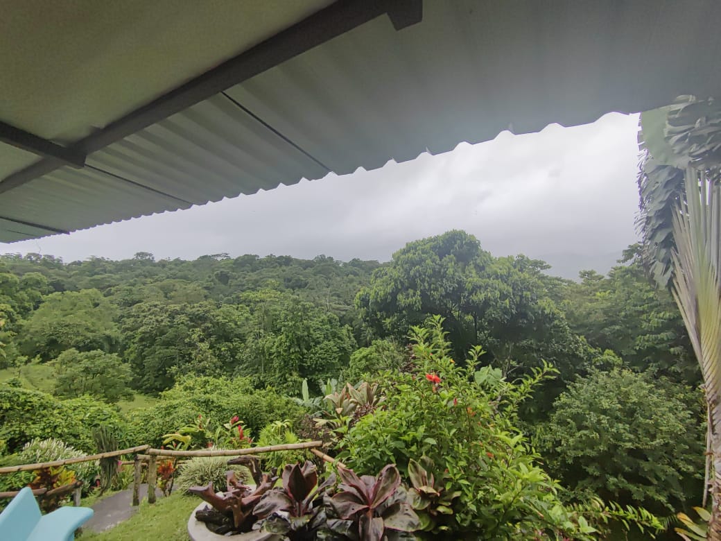 Boutique Hotel and Restaurant Between La Fortuna and Nuevo Arenal photo 55