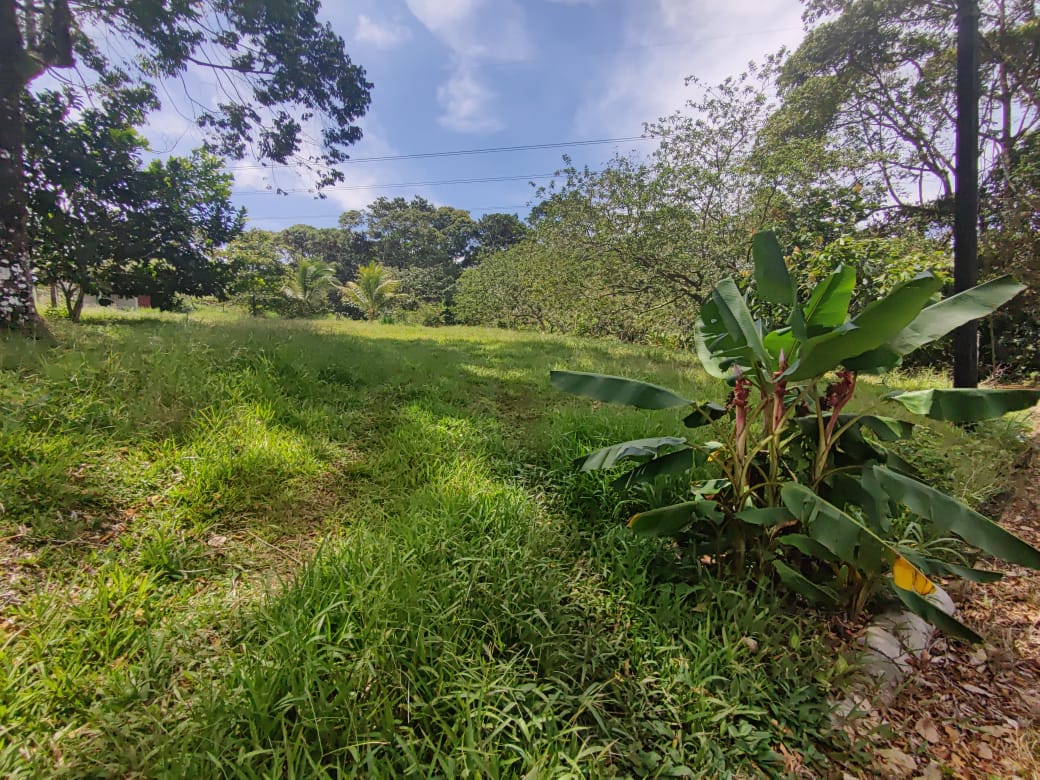 Lovely, 1322 m2 Lot (0,32 acre) in Cuidad Quesada, Alajuela photo 7