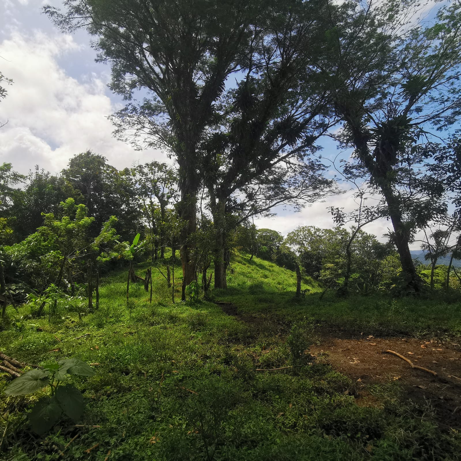 Exceptional Lake and Volcano View Property in El Castillo, San Carlos  photo 10