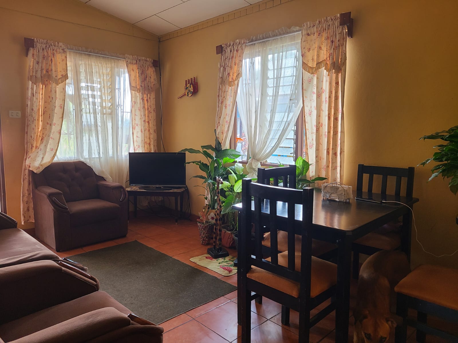 Lovely, 2 Bedroom, 1 Bathroom + Den, Tico Style Home in Rio Piedras  photo 6