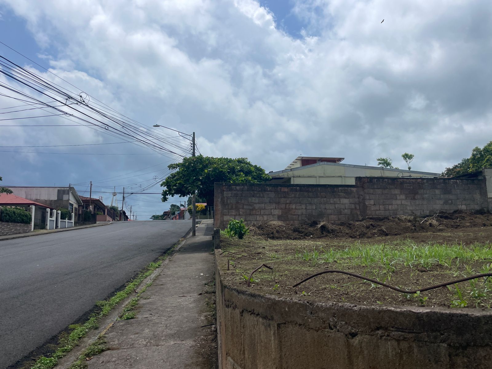 Lot of 294 M2 (0,07 Acre)  with mountain in downtown Tilaran  photo 6