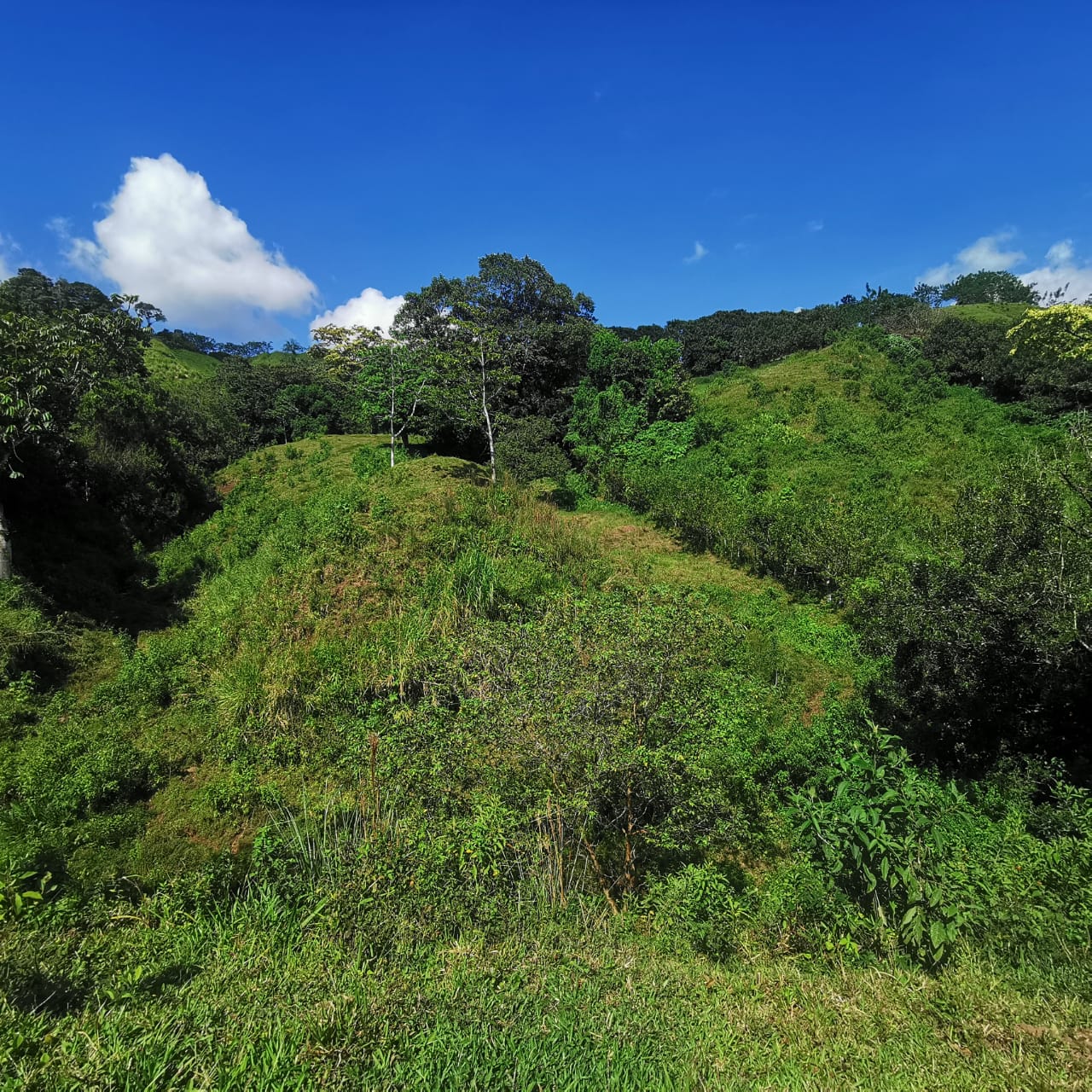 Exceptional 14,445 m² Lot in La Unión, Arenal – Views of Lake Arenal photo 12
