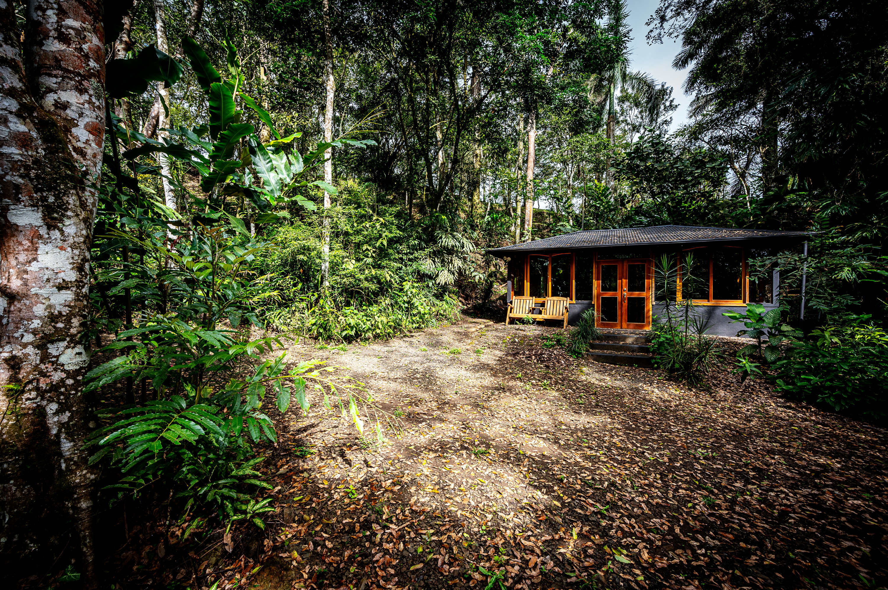 Spacious Arenal View Home with Cabins, Pavilion & Nature Trails  photo 40