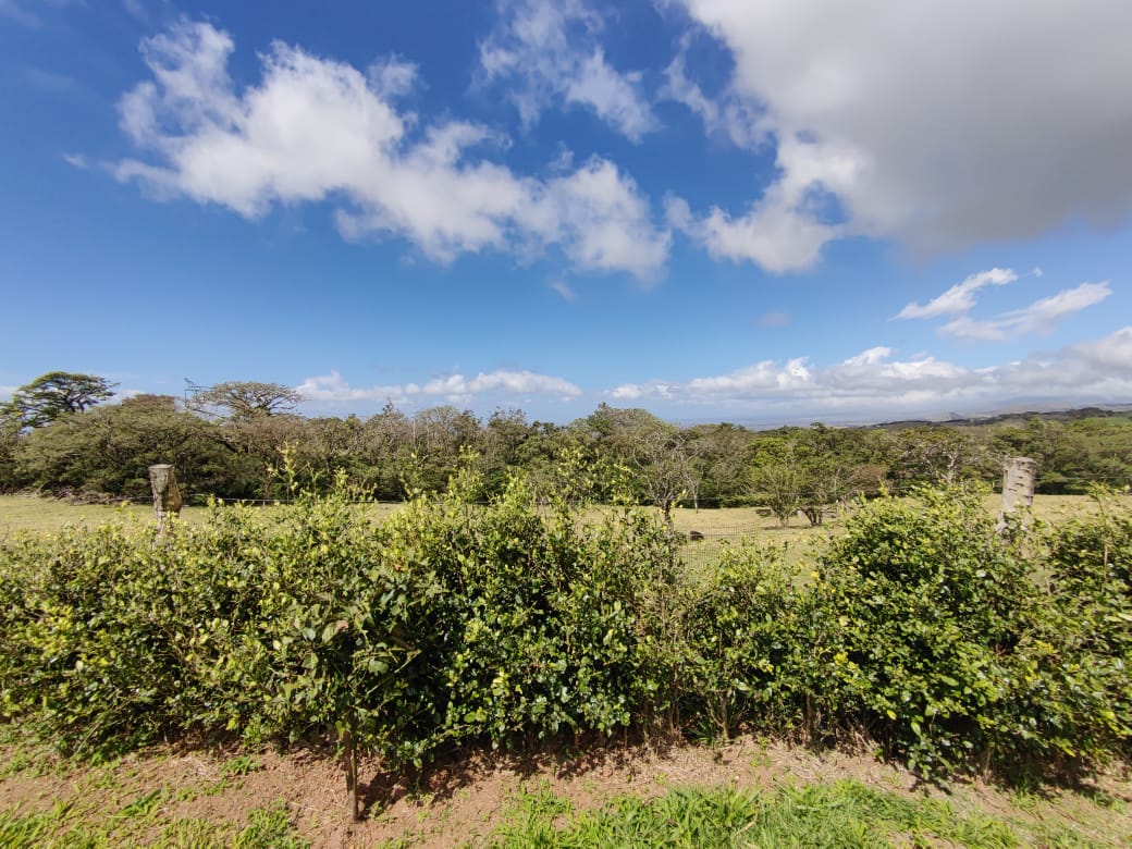 721 m2 Lot Gorgeous Views of Mountains, Jungles and Guanacaste Lowlands photo 11