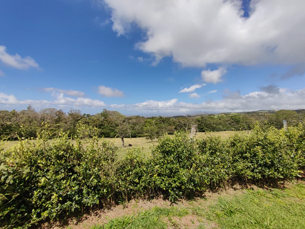 721 m2 Lot Gorgeous Views of Mountains, Jungles and Guanacaste Lowlands photo 10