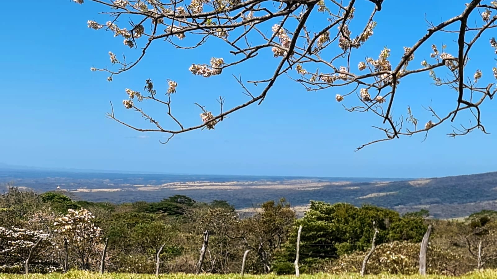 10,000 M2 (2.47 Acre) Lot with Volcano View in Nueva Guatemala photo 11