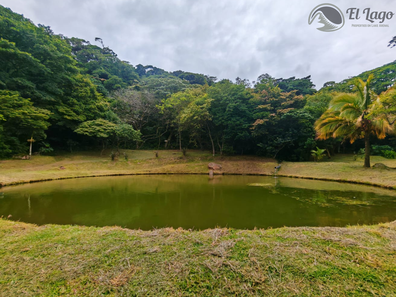 Luxury Estate w/ 8 BD, 9 BA, Private Forest, and Development Potential photo 81