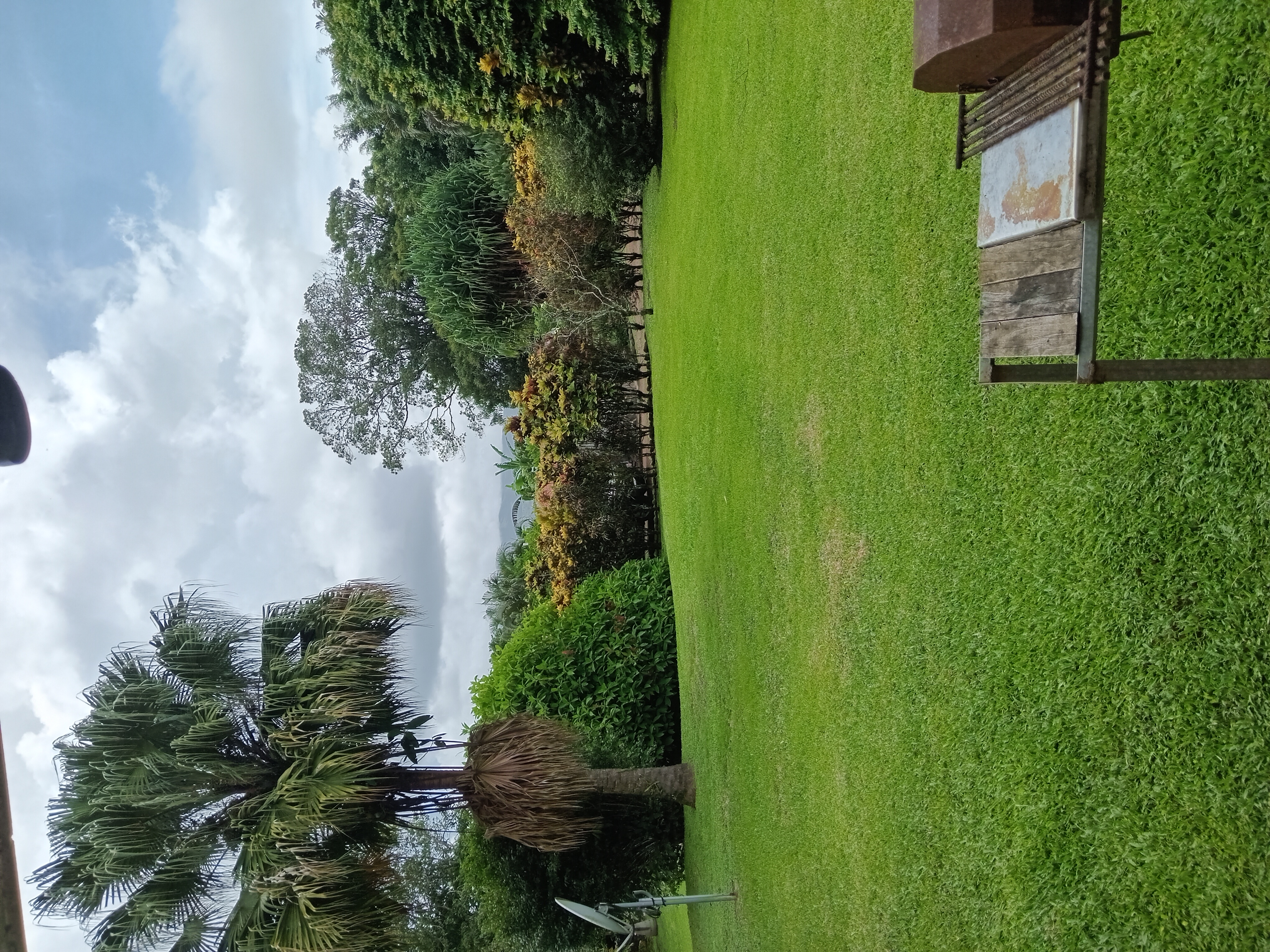 Commercial property: main house + 5 cabins + greenhouse + stable in Cinco Esquinas  photo 79