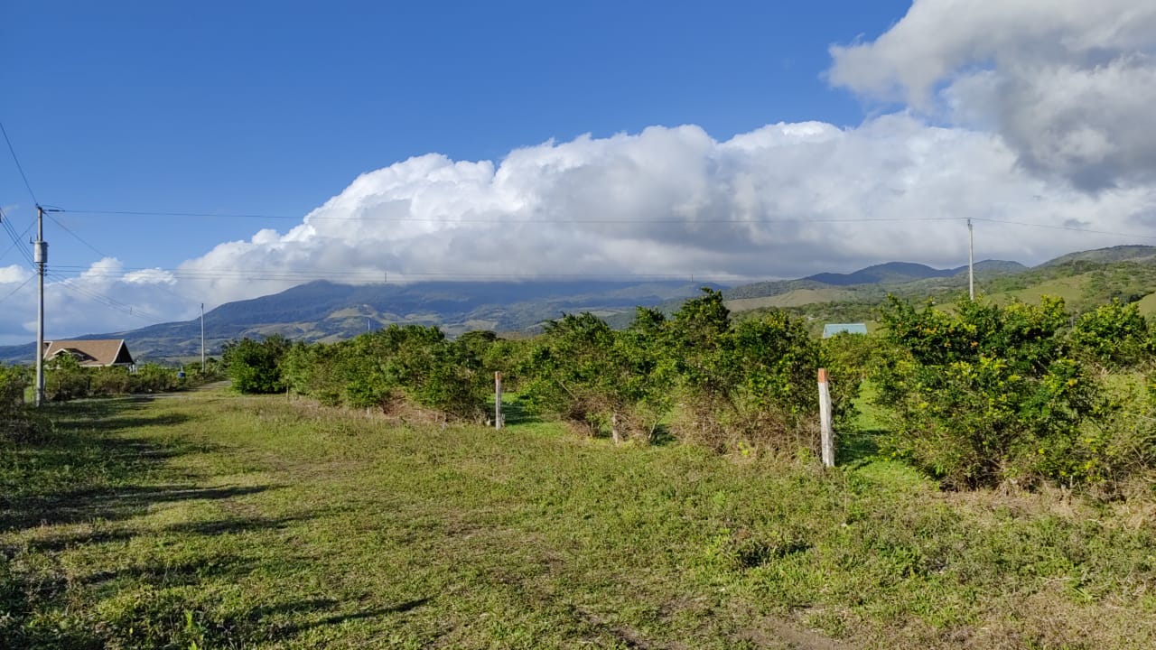 Beautiful, 6194 M2 (1.53 acres) Building Lot In Tierras Morenas Tilarán photo 8