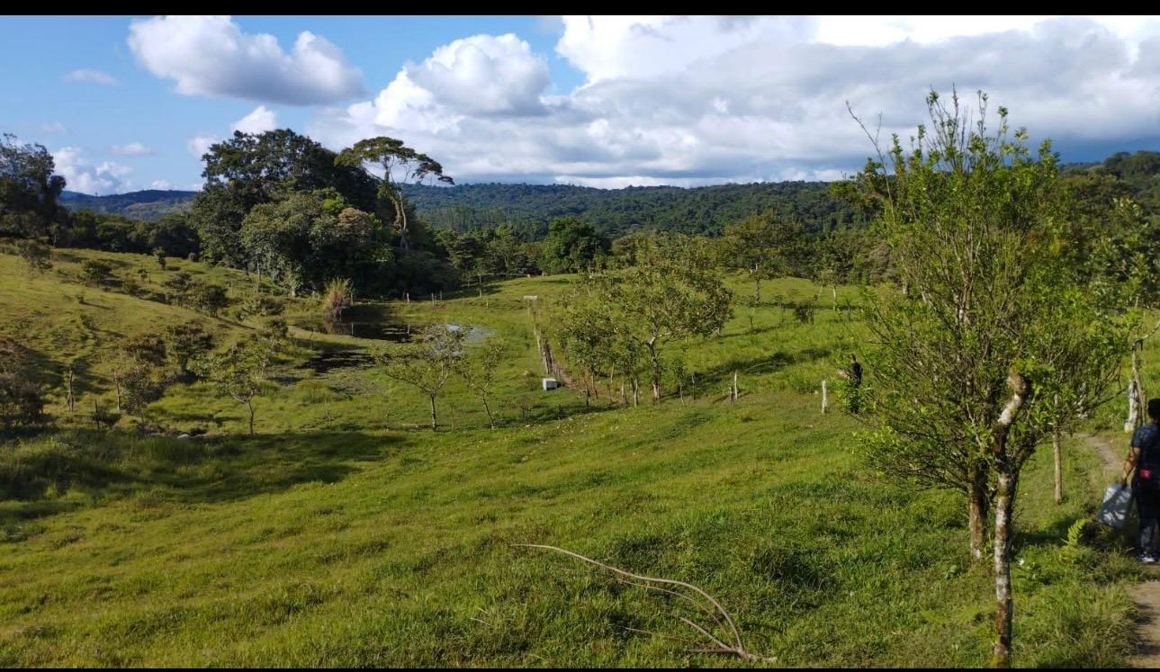Expansive Self-Sufficient Farm Overlooking Lake Arenal in Nuevo Arenal photo 9