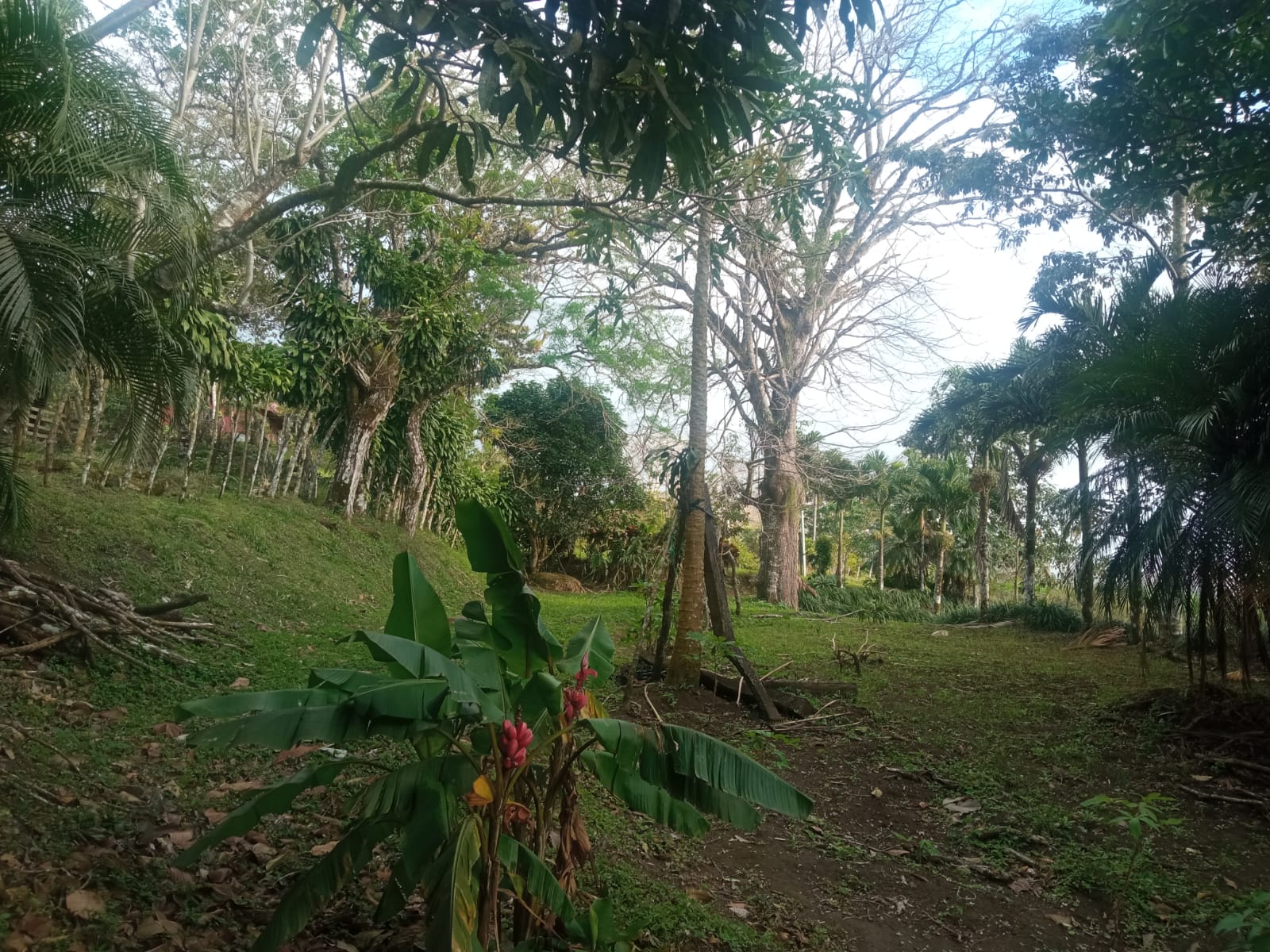 Beautiful, 1407 m2 (0,34 acres) Lot in Parcelas de Quebrada Azul, Tilarán photo 14