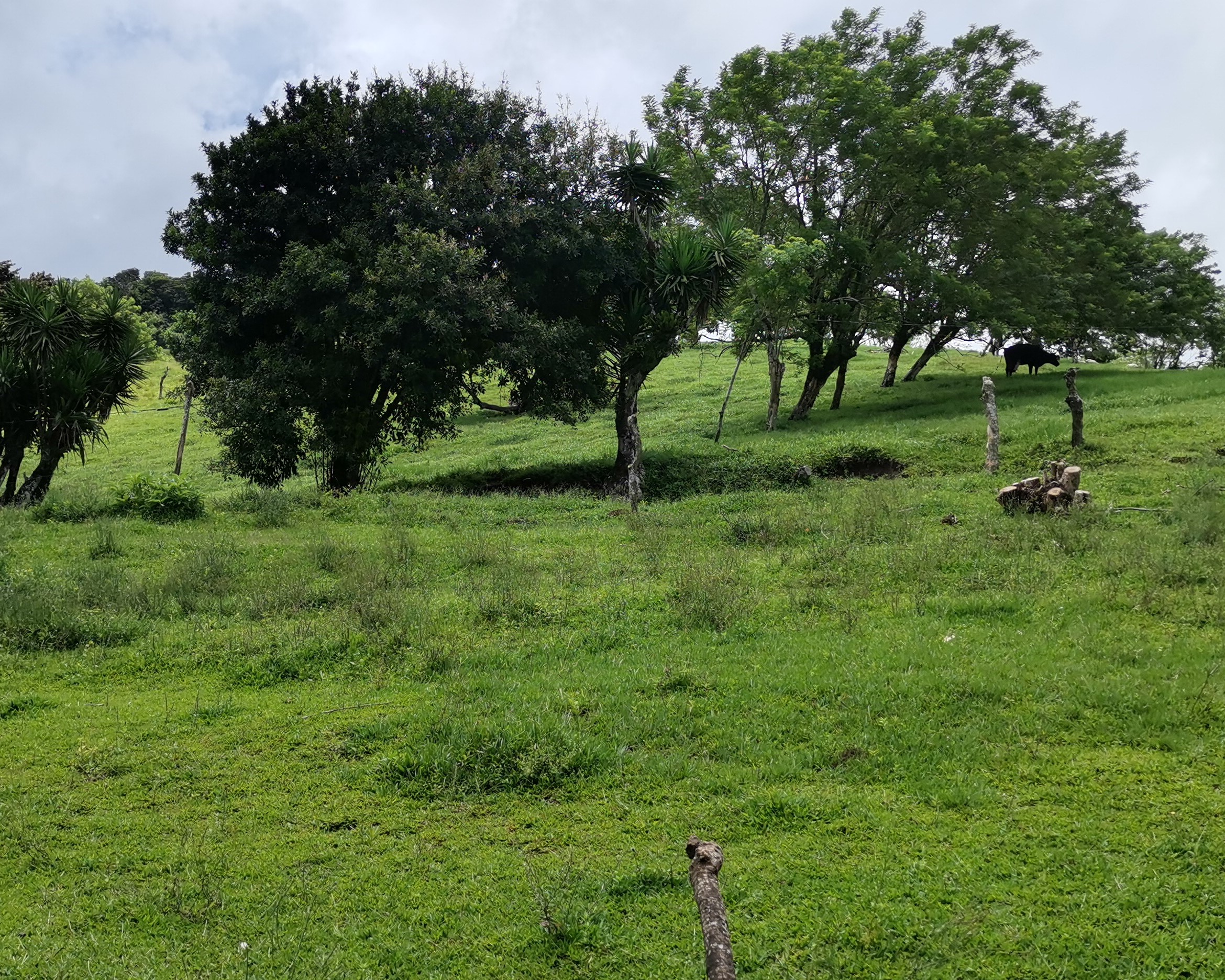 Magnificent 24,811m2 Lake and Volcano View Parcel with Huge Views in Tronadora photo 37