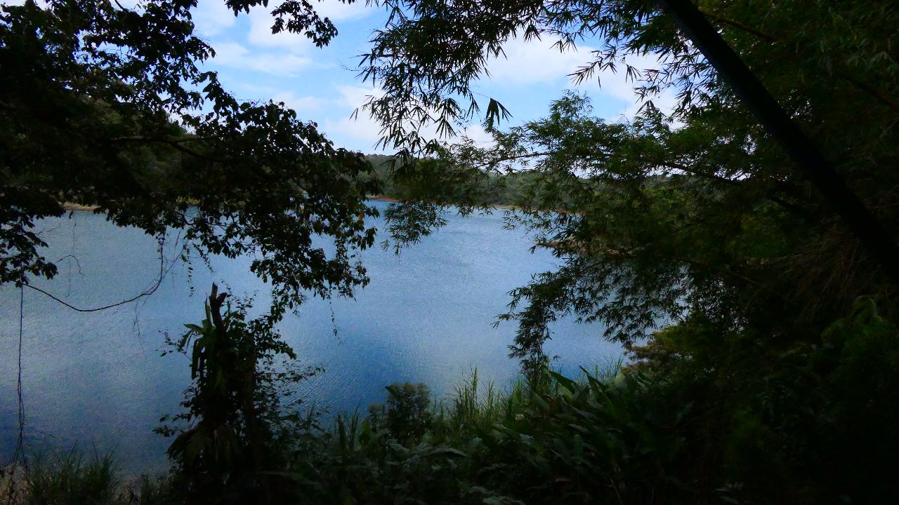 A very unique 1 Bedroom/1 Bathroom Boat House with lake access photo 24