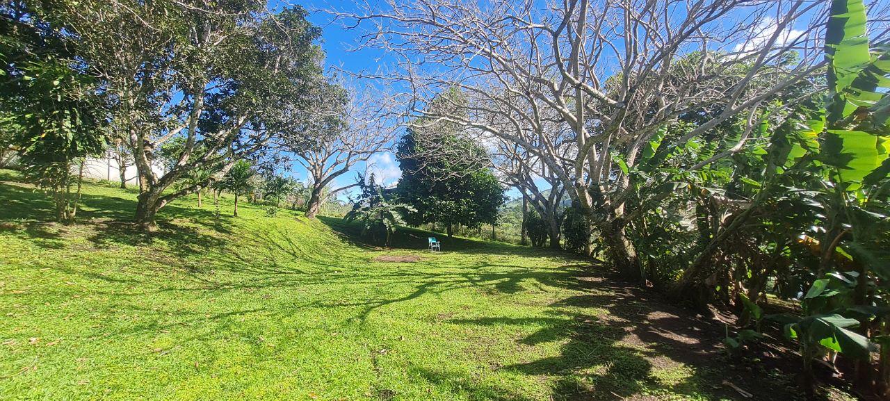 Lakeview Home 4BD 2BAw/ Lake Access, Development Potential & BMW  photo 24