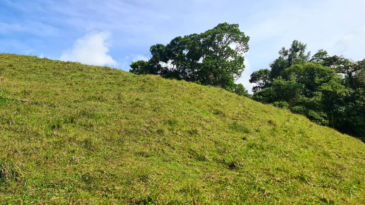 Amazing Opportunity, 2 Hectare, Lake View Parcel in Nuevo Arenal photo 6