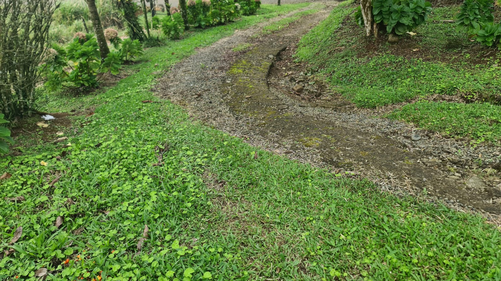 Cozy 1 Bedroom, 1 Bathroom house on a 1,110 m2 lot in Nuevo Arenal photo 16