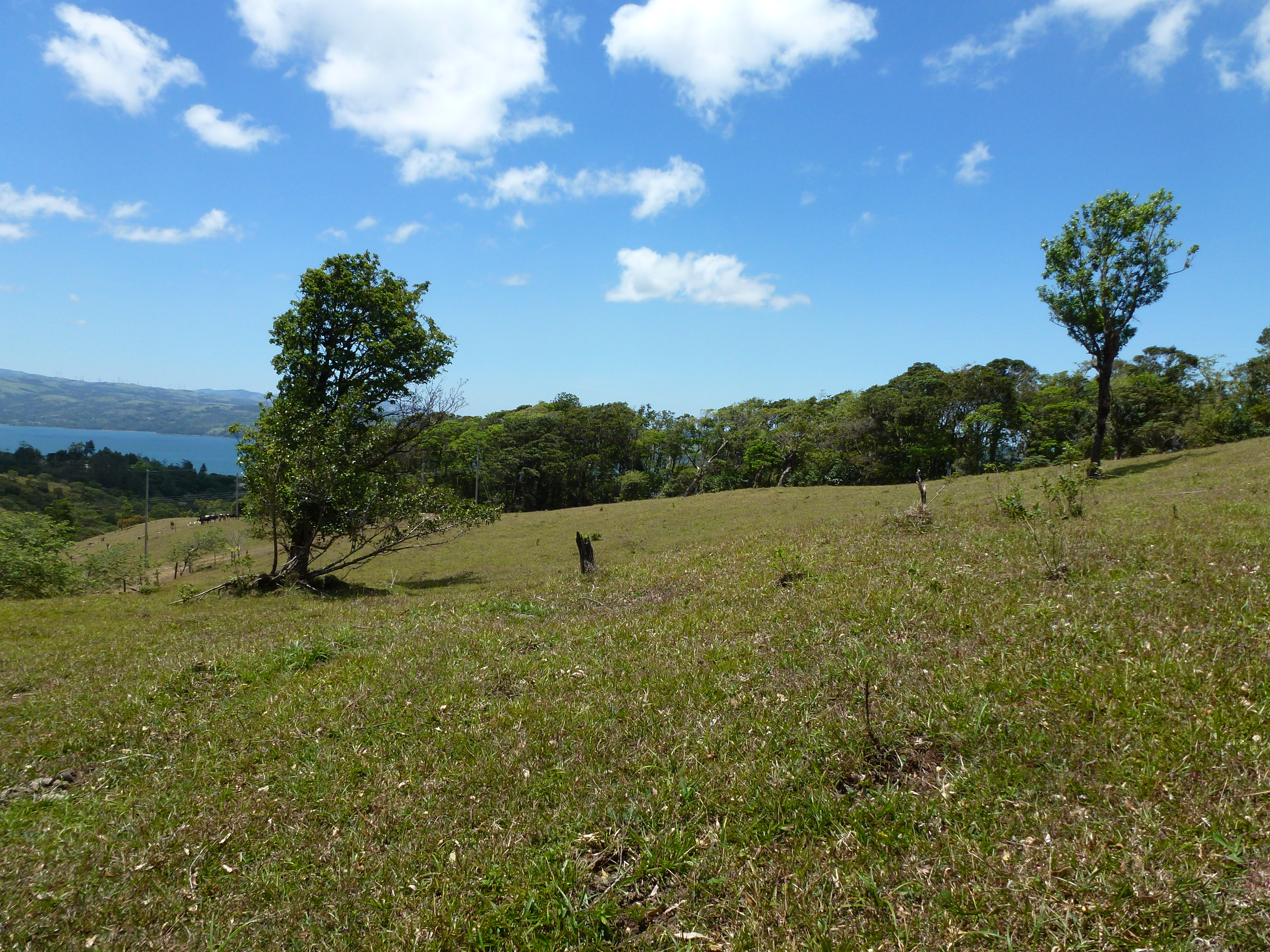 2.26 Acre Lot with Stunning Views Of Lake Arenal and Volcano in Nuevo Arenal  photo 16