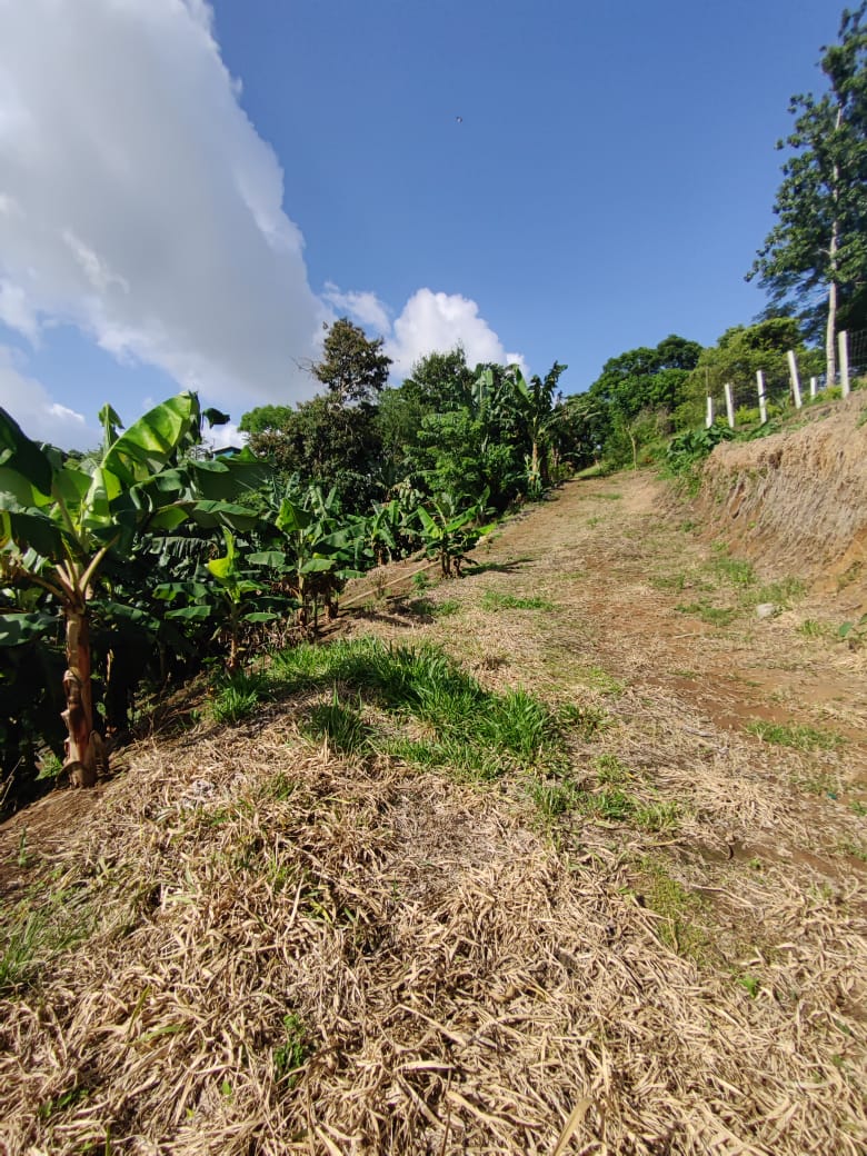 Lovely1,903 m3 (0.47 Acre) Near Lake Arenal in  Tronadora photo 10