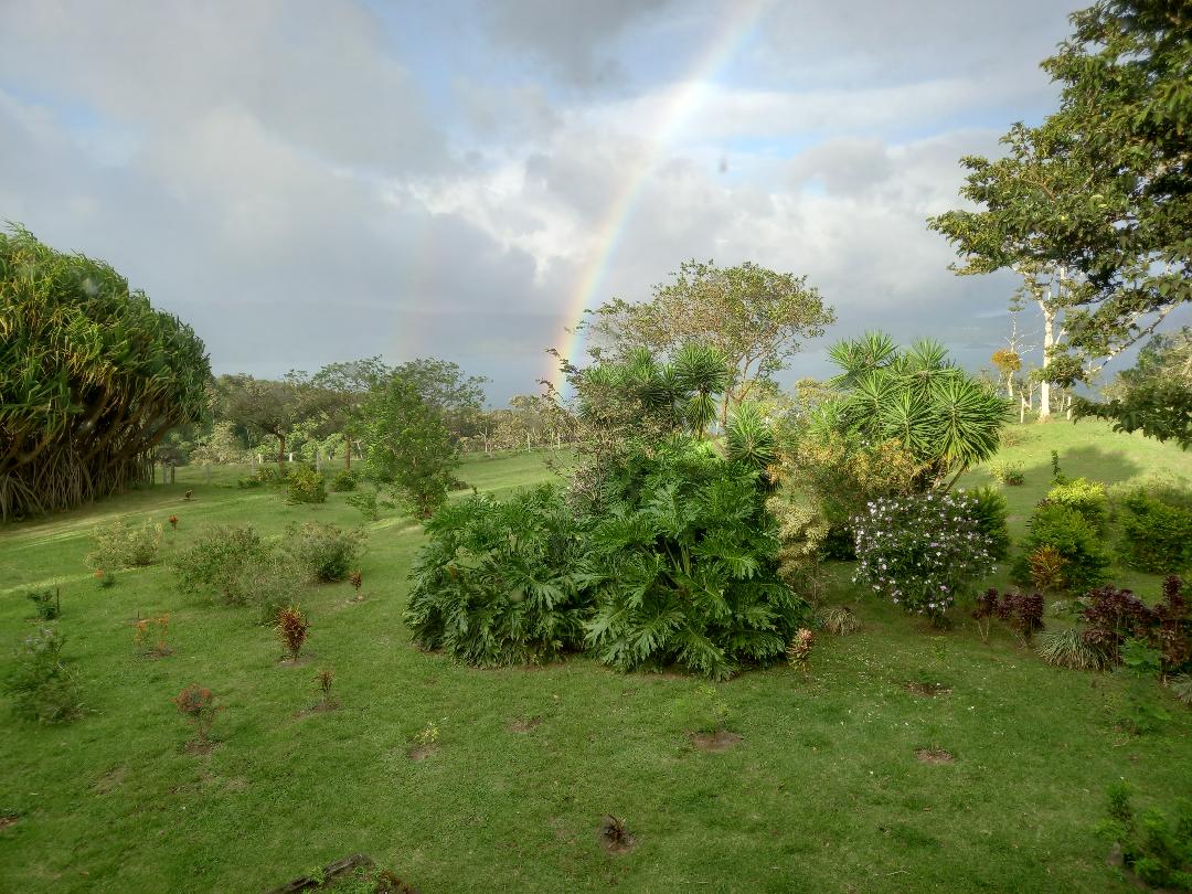 Tranquility Defined – Stunning Home with Lake & Volcano Views on 8.2 Acres photo 35