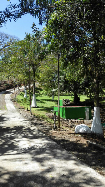 Beautiful 5 Bedroom 3 Bathroom Home Estate on 66 acres In Guatuso photo 22