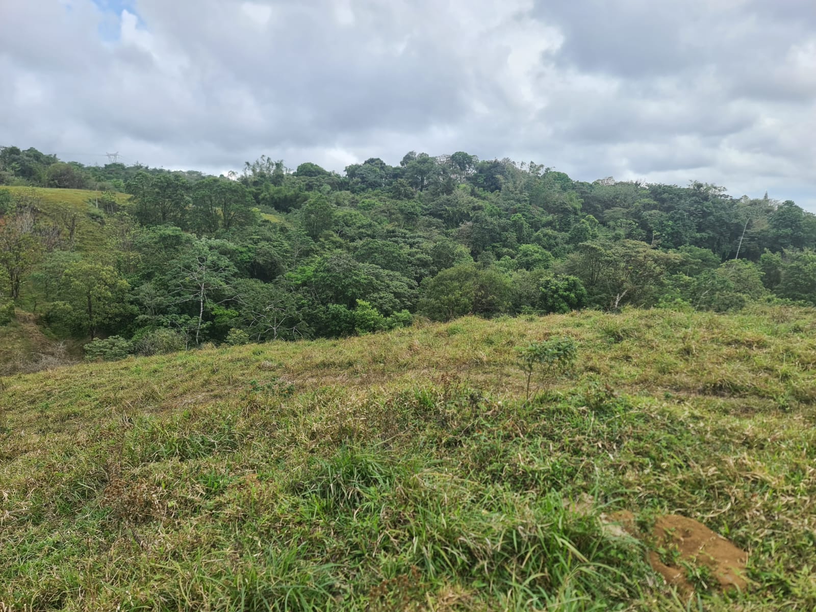 46,600 m2 (11,5 acres) Lot with Amazing Lake View in Nuevo Arenal photo 19