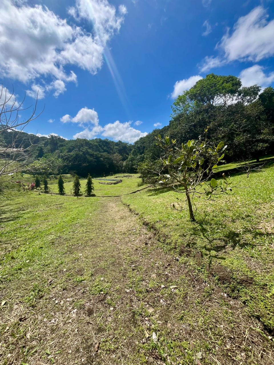 Commercial Property with Expansive Space and Breathtaking Mountain Views  photo 10