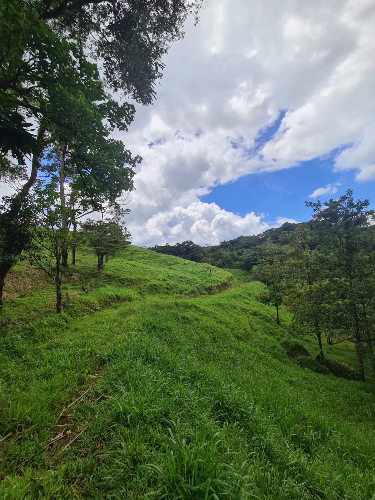 81,500 m2 (20.13 Acre) Lot with Lake and Volcano View in Nuevo Arenal photo 18