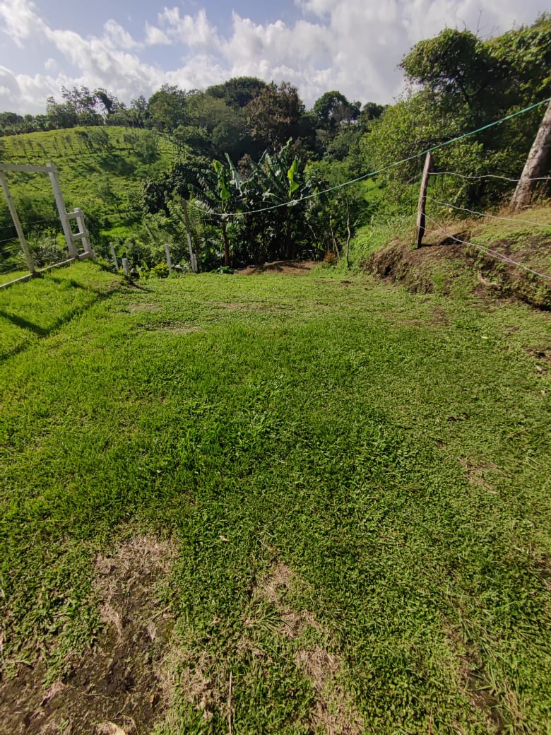 Lovely1,903 m3 (0.47 Acre) Near Lake Arenal in  Tronadora photo 11