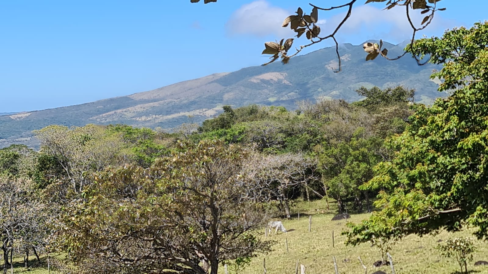 10,000 M2 (2.47 Acre) Lot with Volcano View in Nueva Guatemala photo 12