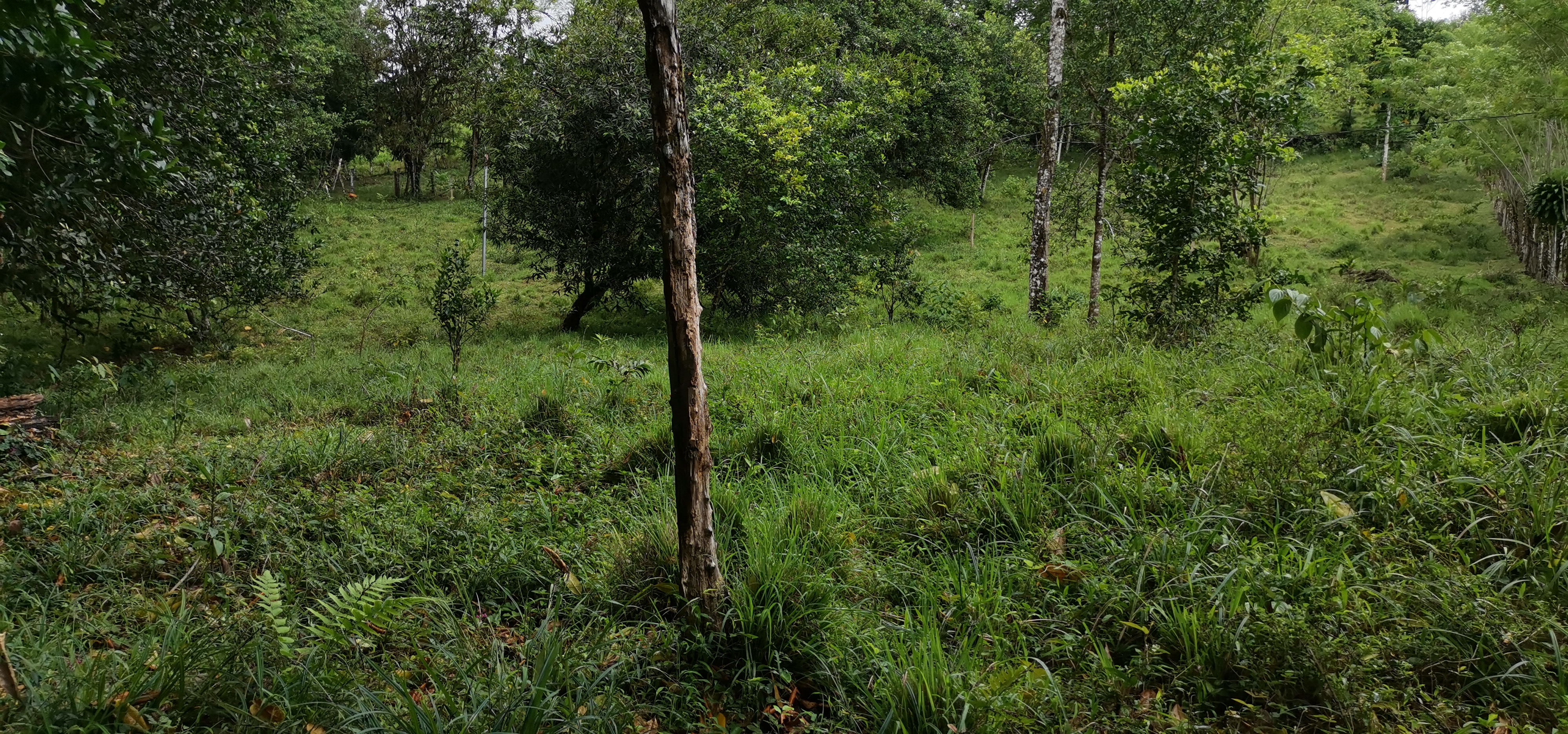 Fully Furnished 2 Bedroom 2 Bathroom Home On Cote River  photo 35