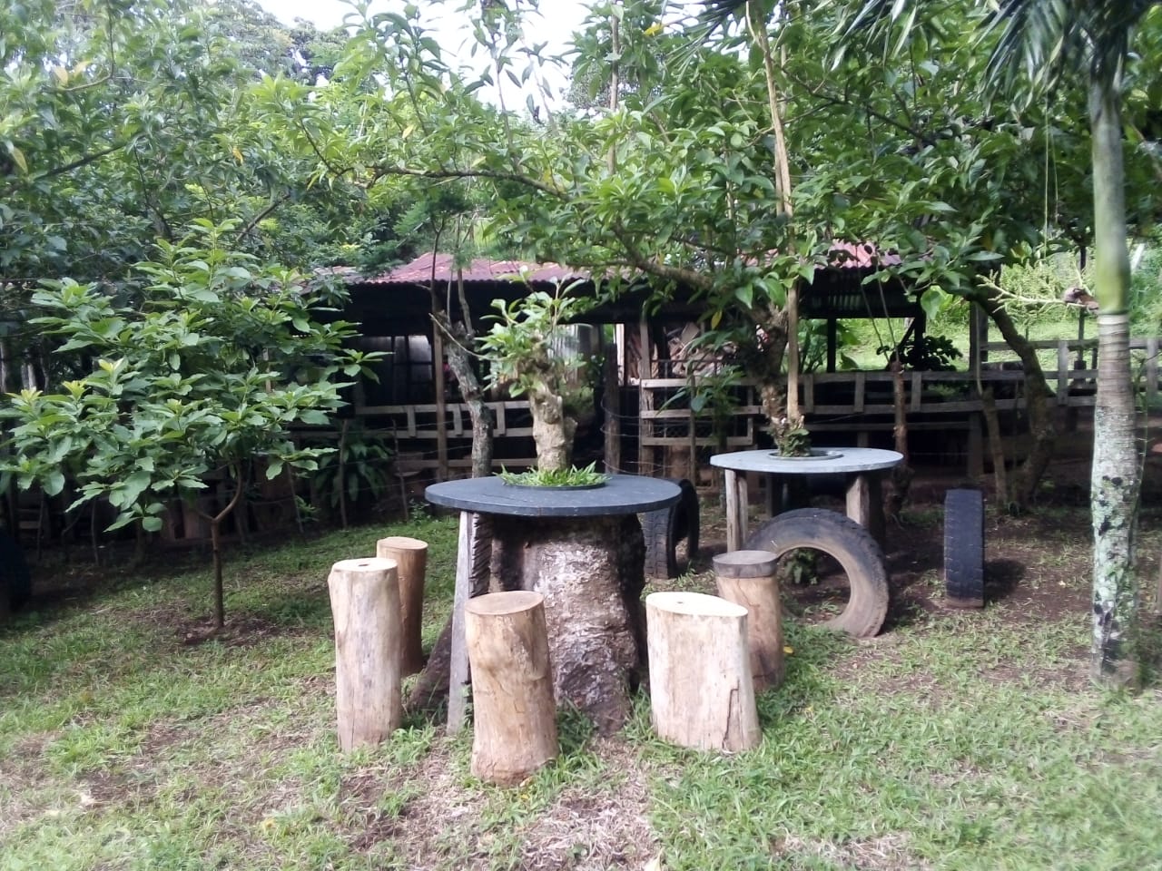 Lot of 15.320 m2 (3.78 Acre) with a private well in Parcelas de Quebrada Azul  photo 8