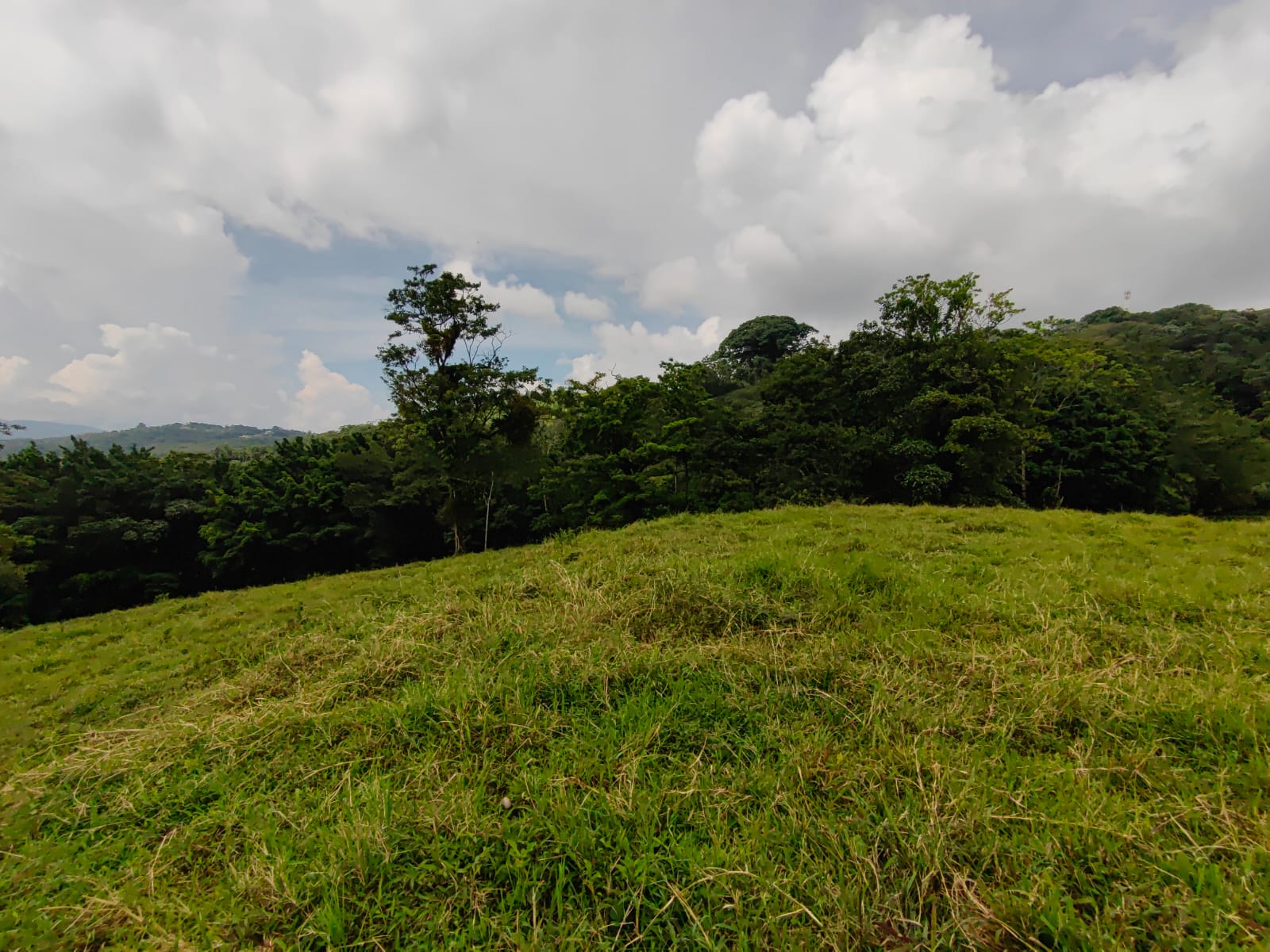 Finca La Tortuga – A Developer’s Dream! Lake Arenal View 5.7 Hectare Farm photo 10