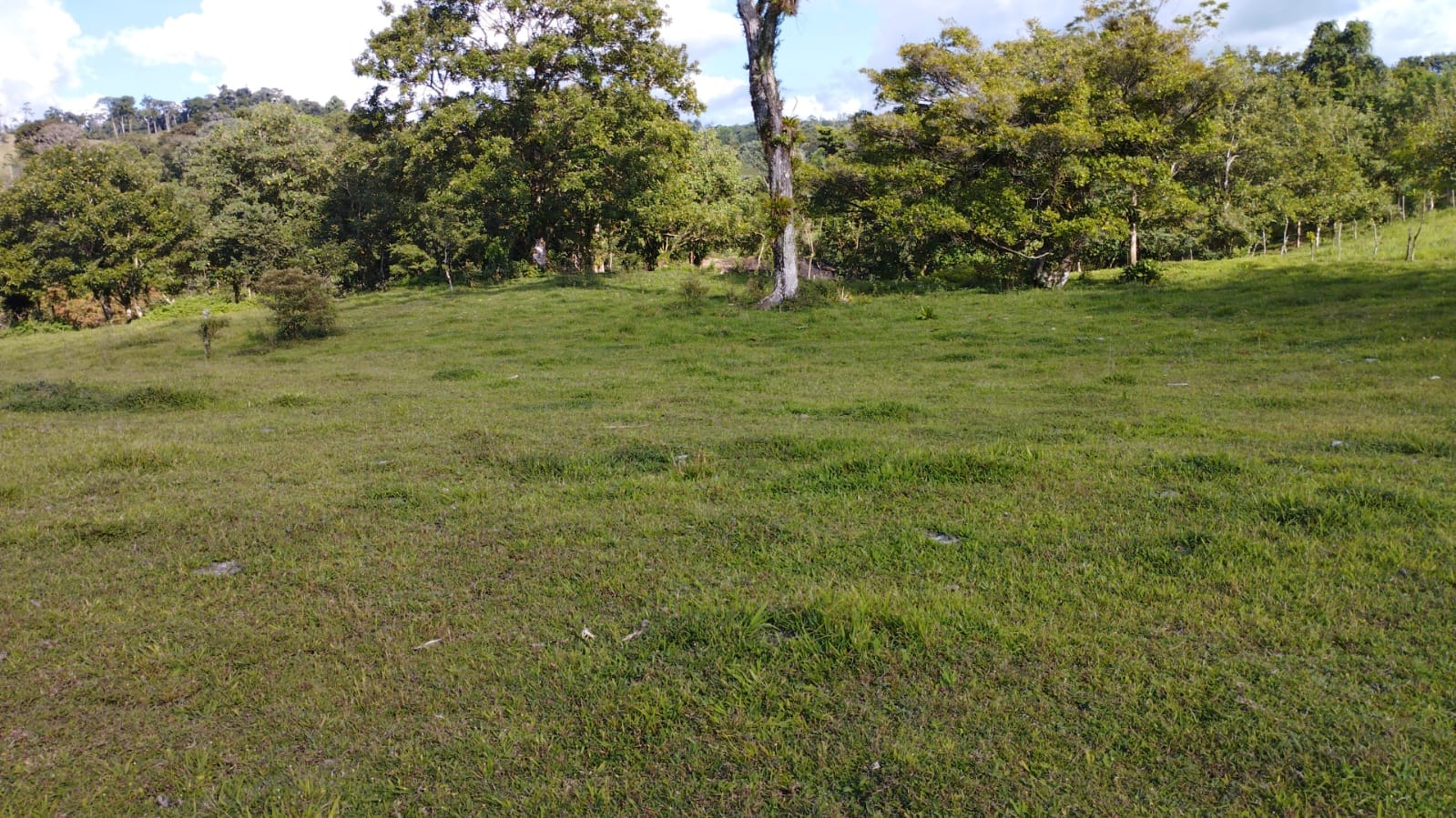 16-Hectare Farm with a Private Well and Views of Lake Arenal in Nuevo Arenal photo 49