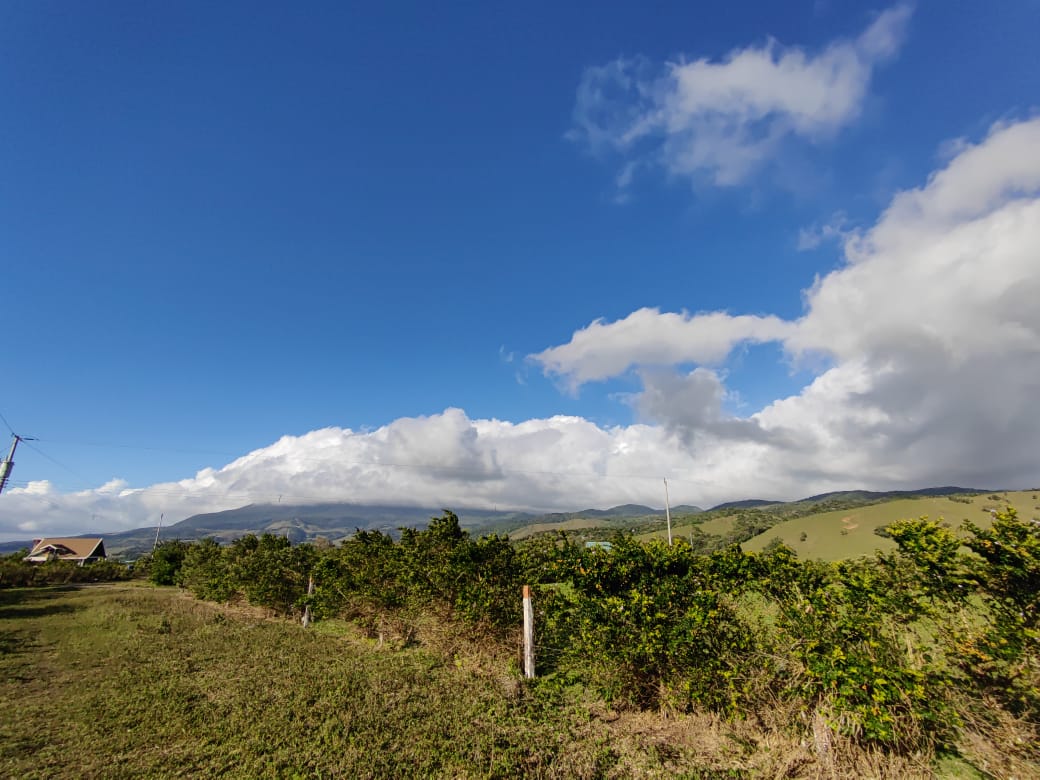 Beautiful, 6194 M2 (1.53 acres) Building Lot In Tierras Morenas Tilarán photo 7