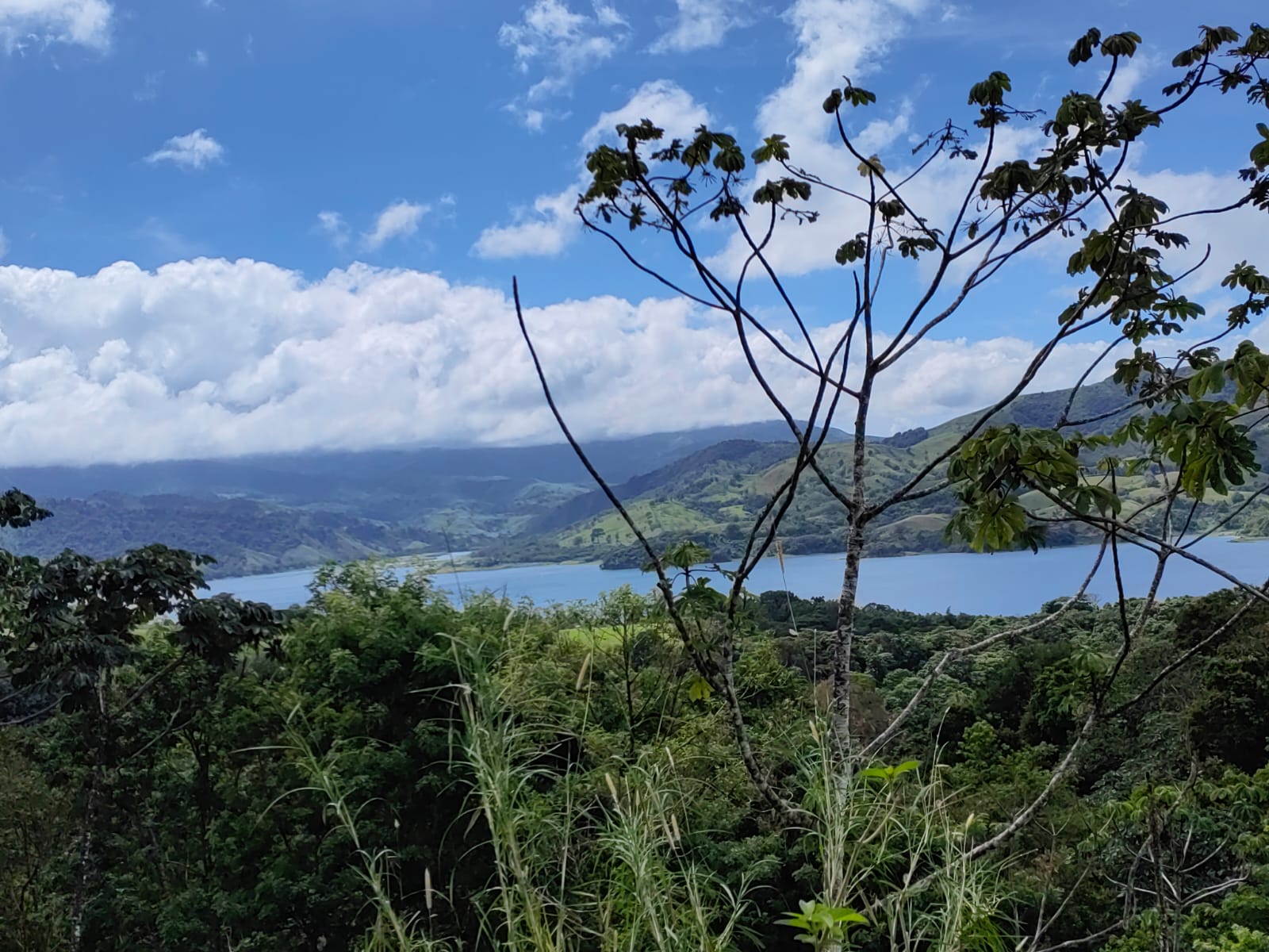 33,691 m² property with Amazing Views and Private Waterfall in La Union  photo 15