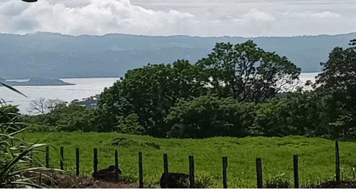 Commercial property: main house + 5 cabins + greenhouse + stable in Cinco Esquinas  photo 90