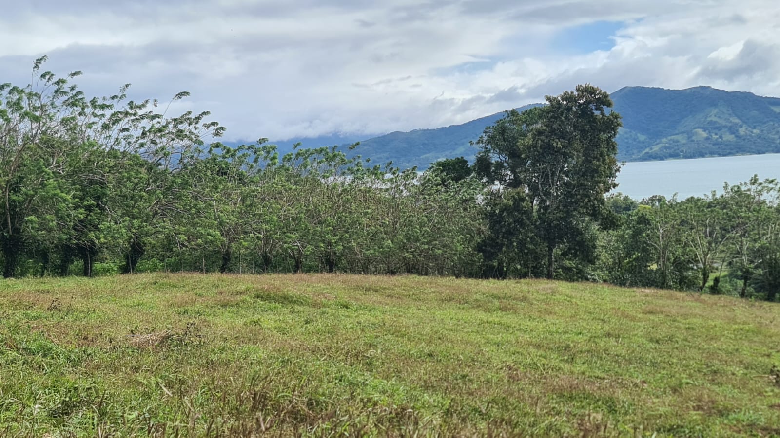 Fabulous, 5000 m2, Lake View Lot near Downtown Nuevo Arenal photo 8