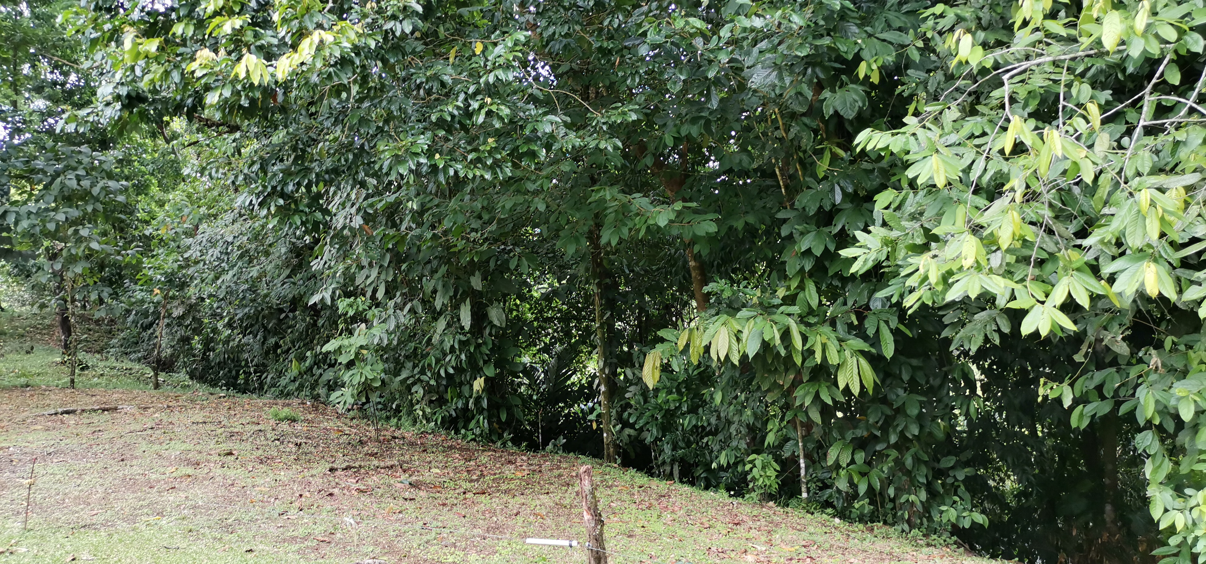 Fully Furnished 2 Bedroom 2 Bathroom Home On Cote River  photo 38