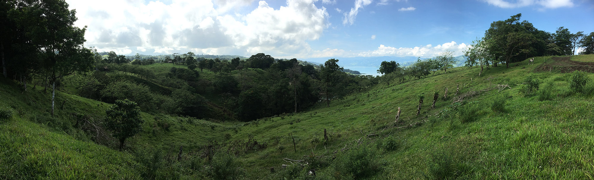 Beautiful, 5337 m2 Lake and Volcano View Lot in Gated Community in Nuevo Arenal photo 6