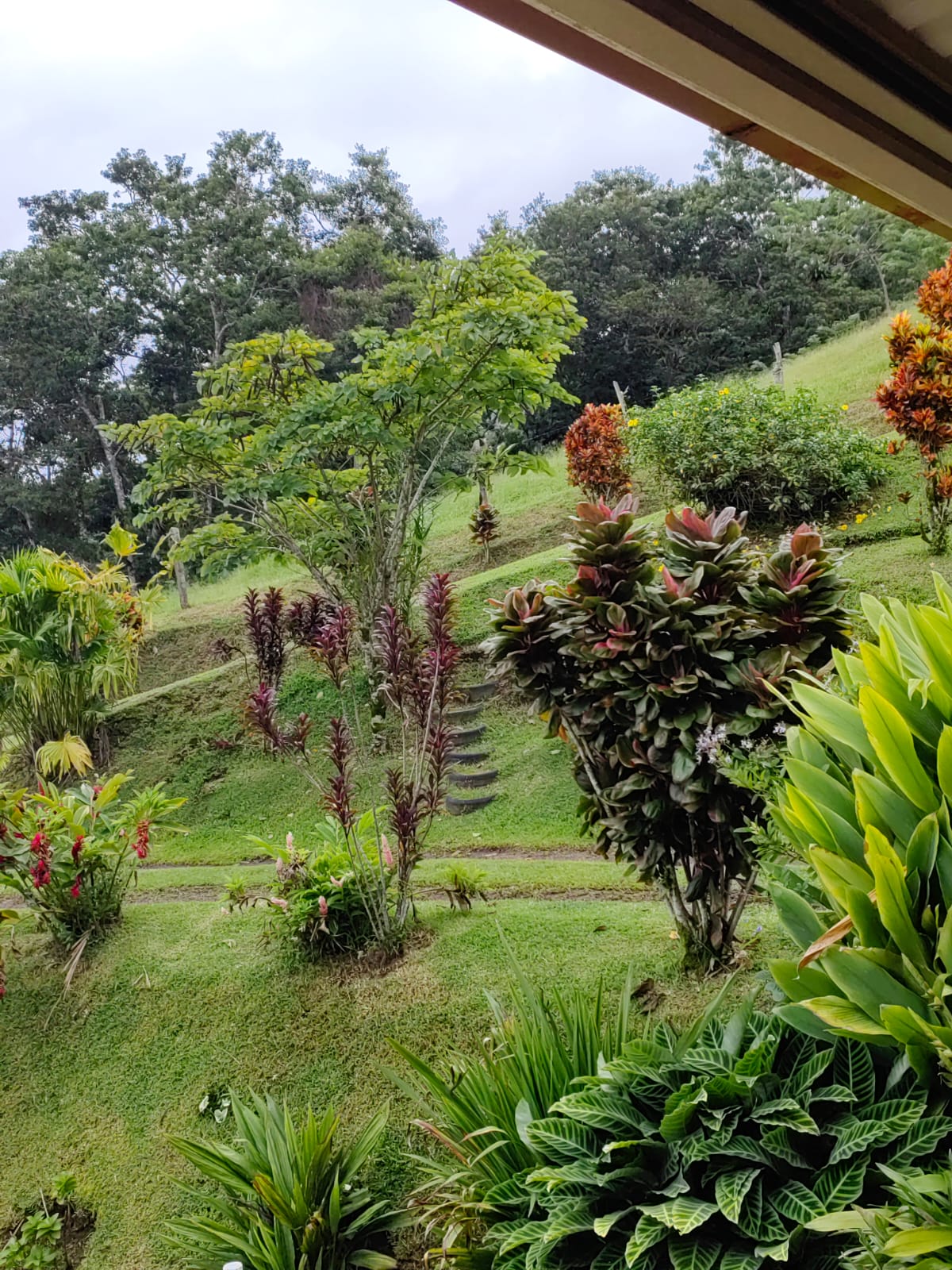 Sprawling, 2 BD/2 BA Home+Office+Apt+Stables+Green House in Tronadora photo 42