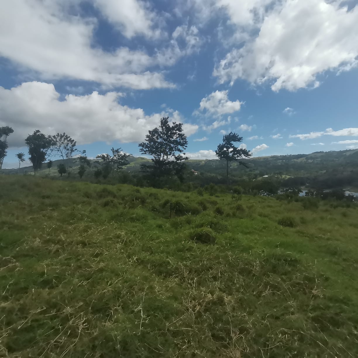 Spectacular, 5000m2, Lake View, LAKE ACCESS Lot in Tronadora!  photo 13