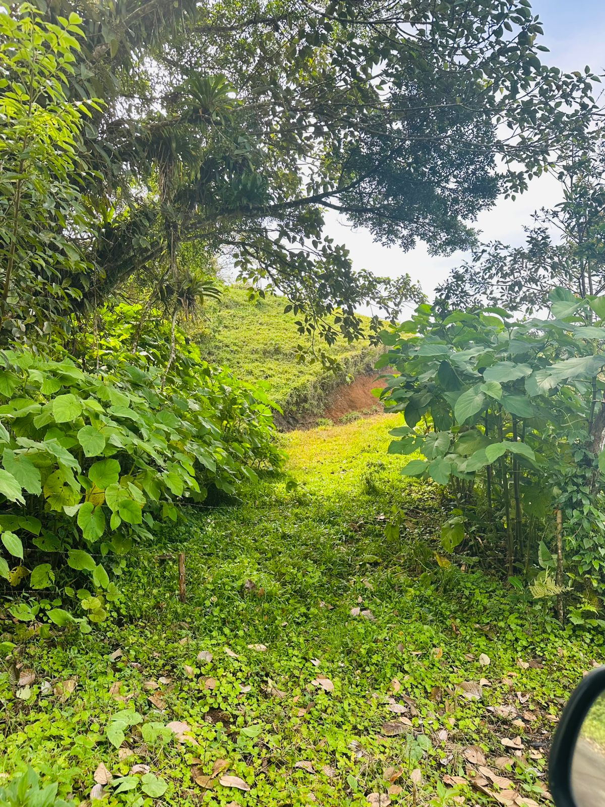 Prime 6,000 m² (1.48 Acre) Lot with Stunning Views of Lake Arenal & Mountains  photo 8