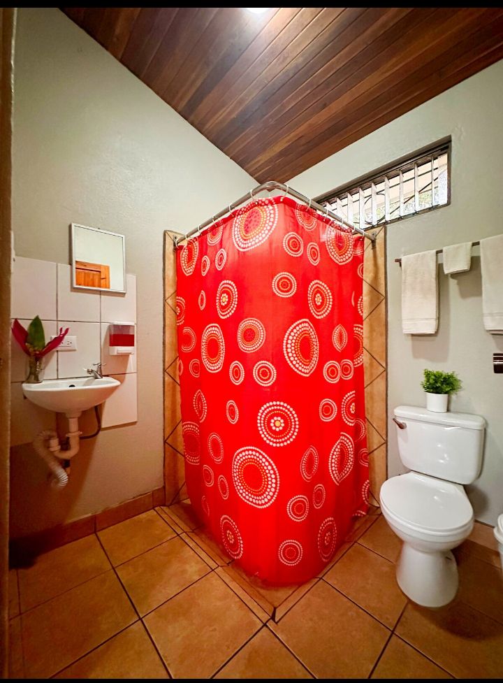 Commercial property: main house + 5 cabins + greenhouse + stable in Cinco Esquinas  photo 41