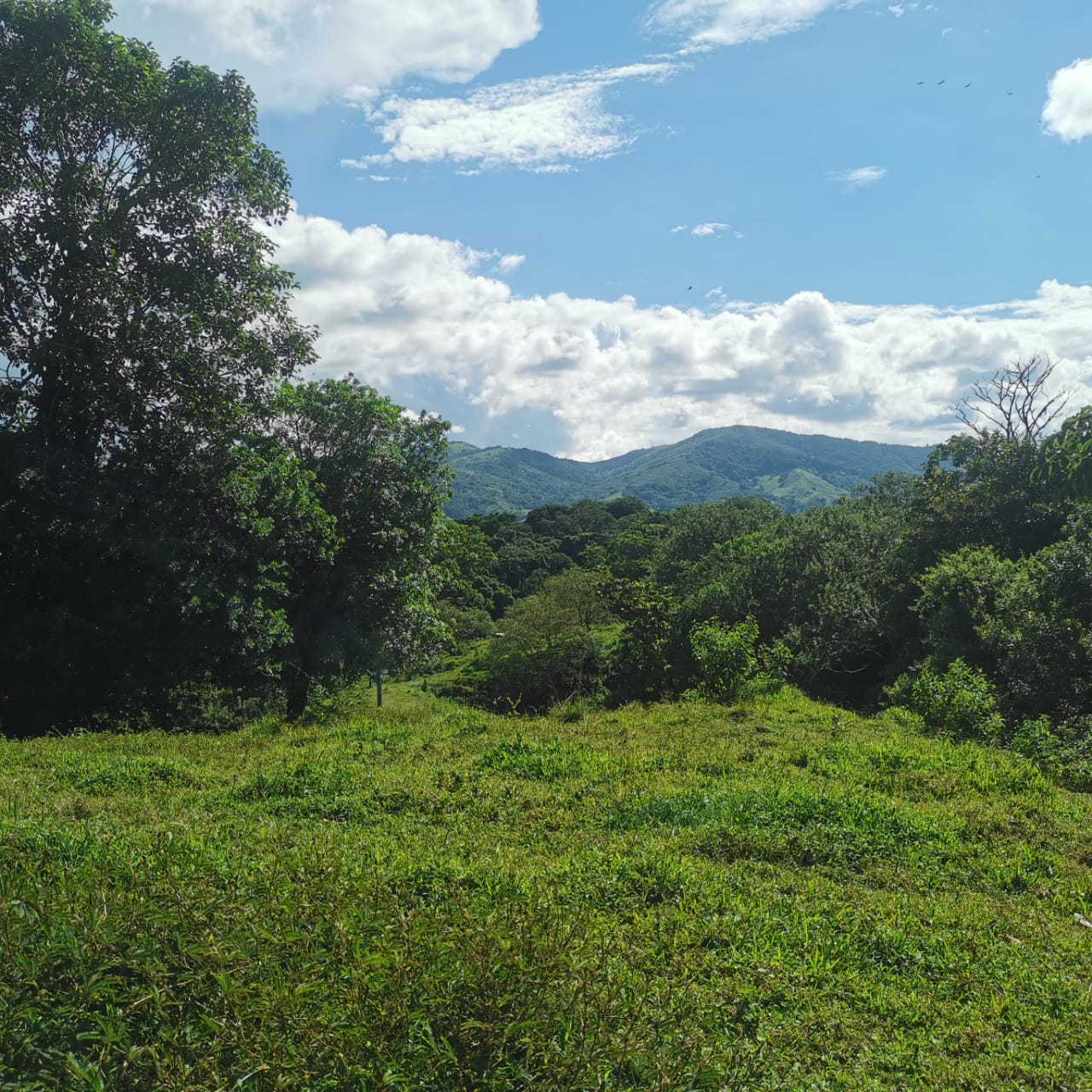 Exceptional 14,445 m² Lot in La Unión, Arenal – Views of Lake Arenal photo 11