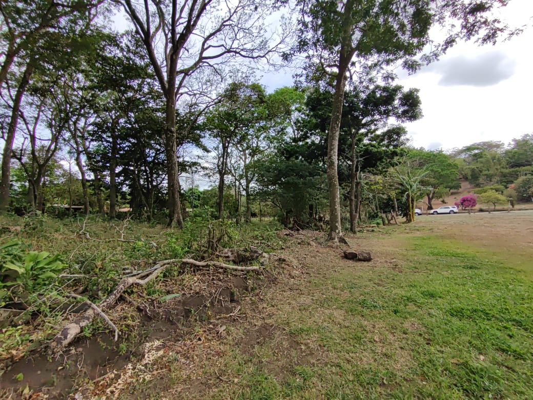 Opportunity!! Ready to build!! 2,070 m2 (0.51 acre) Lot in Tilarán photo 12