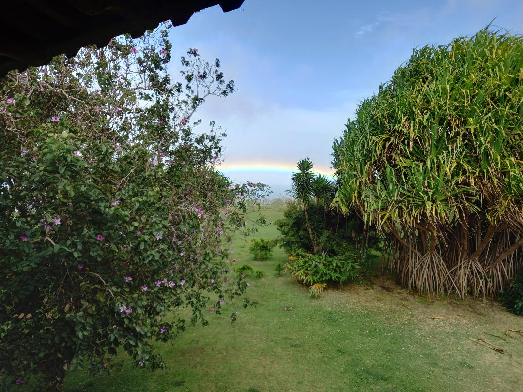 Tranquility Defined – Stunning Home with Lake & Volcano Views on 8.2 Acres photo 37